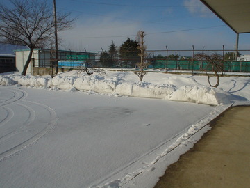 DSC06498