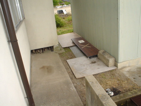DSC05460