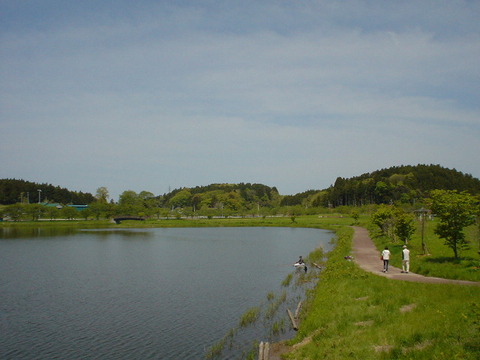 DSC05367