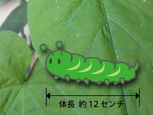 205