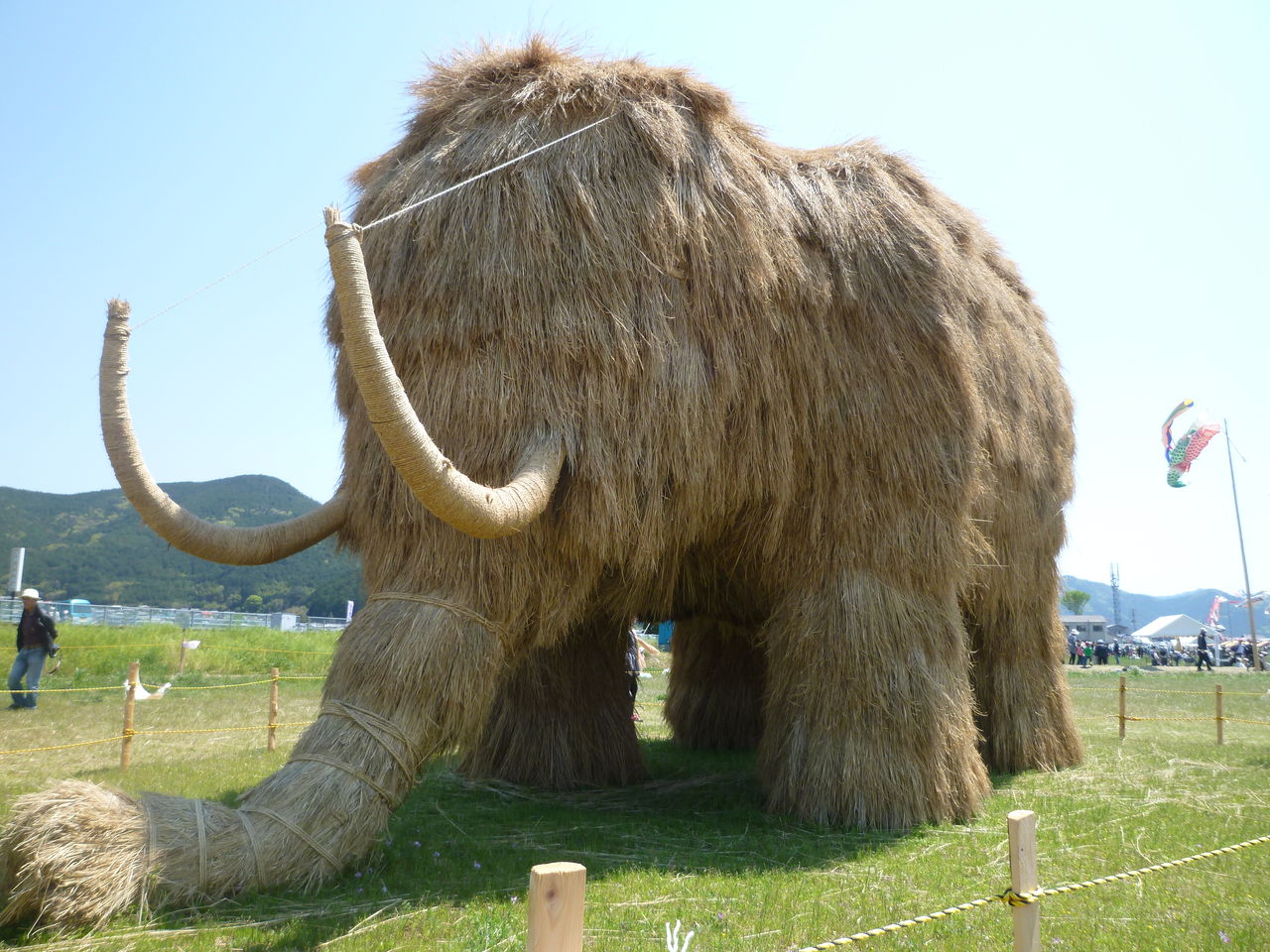 愛をこめて花束を の掲示板投稿写真&画像
