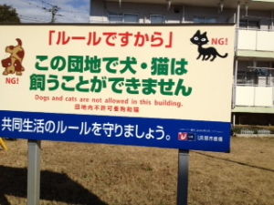 rule