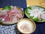 P1030675