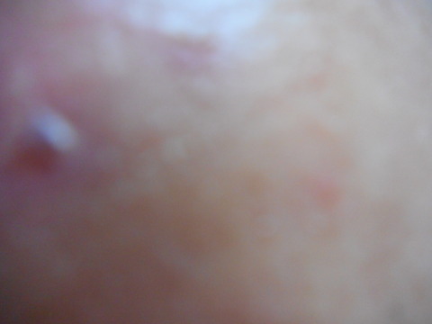 DSCN0945