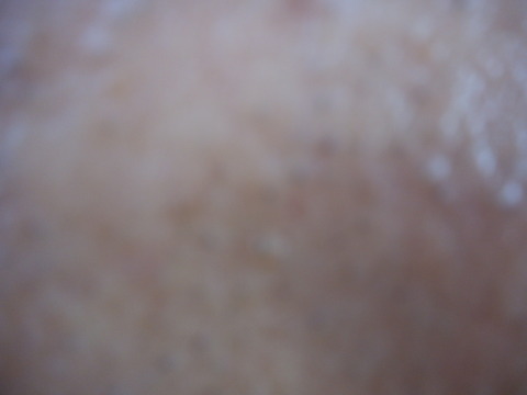 DSCN0845