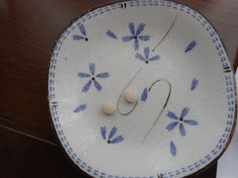 DSCN0644