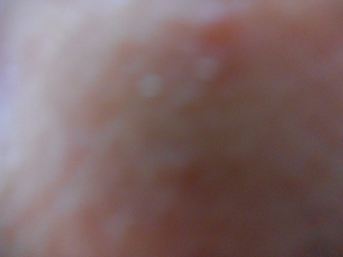 DSCN0944