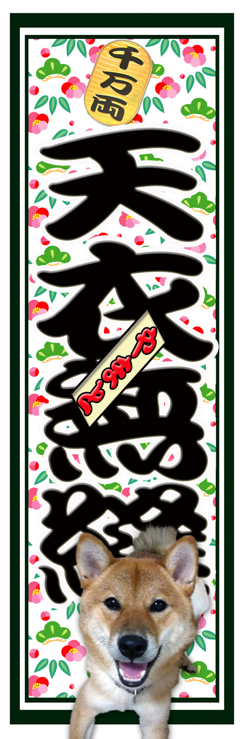 天衣無縫 梅松 ヤマト 札