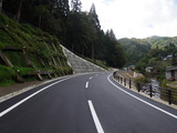 RIMG6241