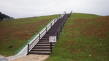 RIMG1994