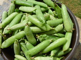 P1020092