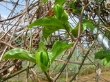 P1020091