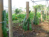 P1010999