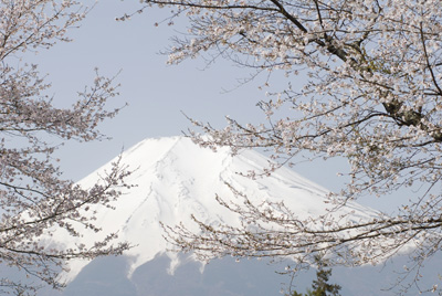 �ٻλ�����鸦��_1464_DSC0048