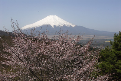 �ٻλ�����鸦��_1477_DSC0061