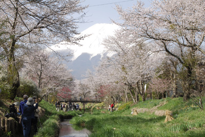 �ٻλ�����鸦��_1451_DSC0035