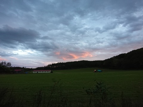 DSC_0288