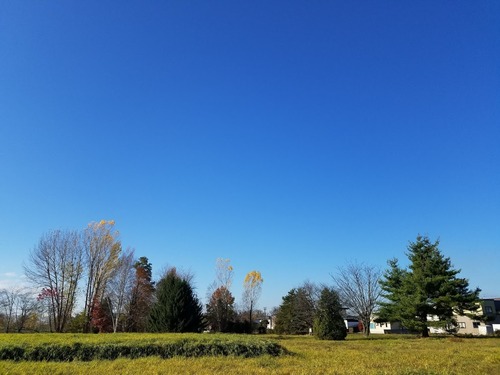 20181103_092615