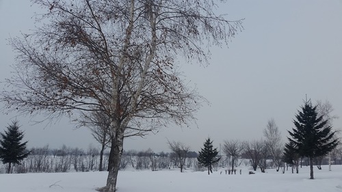 20161221_111158