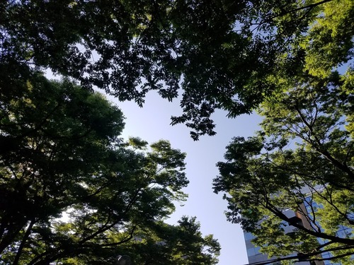 20180724_160215