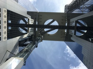 IMG_3848