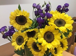 IMG_0524