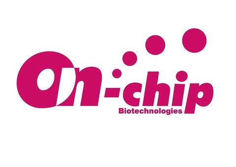 onchip_logo