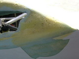 8150cd4e.jpg