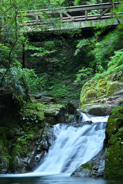 DSC_0301 130625100223s