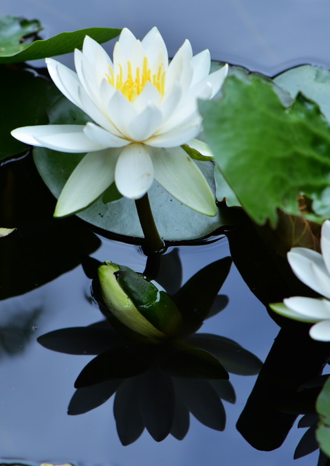 DSC_0058 1306252808,0200