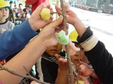 DSC07093