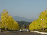 DSC06708