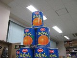 IMG_2730