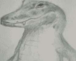 キャプチャ