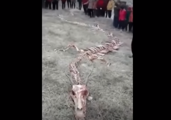 キャプチャ