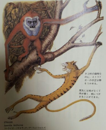 キャプチャ