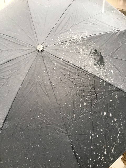 20170621_051243652_iOS
