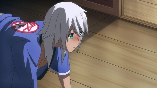 236 236