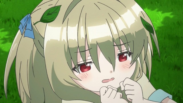 246
