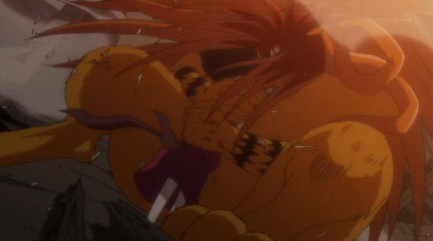 41