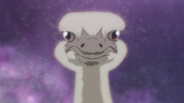54