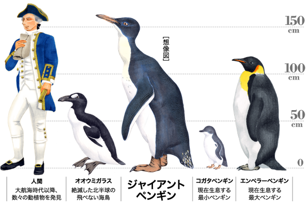 img_penguin_detail_header_img