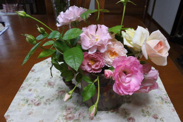 バラの夏剪定と切り花 庭の草花にときめいて