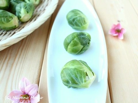13_Rosenkohl_01