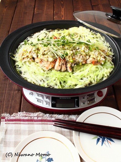 Chicken Cabbage_01-1