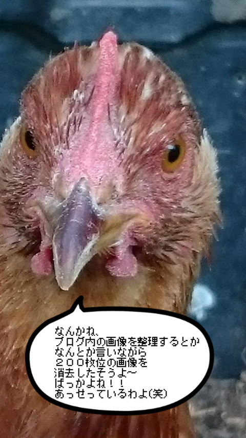 BlogPaint