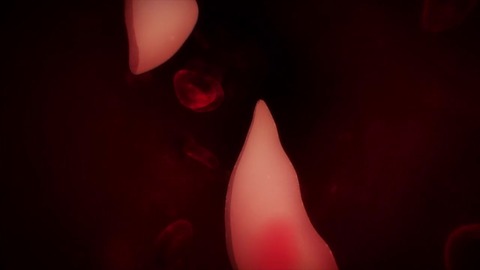 寄生獣 セイの格率 7話「暗夜行路」 131