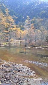 2bd17240.jpg