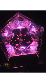 9cc4815e.jpg