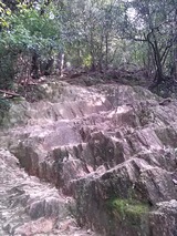 IMG00474